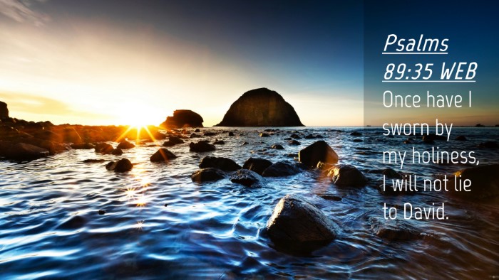 Picture 04 - Psalms 89:35 WEB Desktop Wallpaper - Once have I sworn by my holiness, I will not lie - Desktop Bible Verse Wallpaper