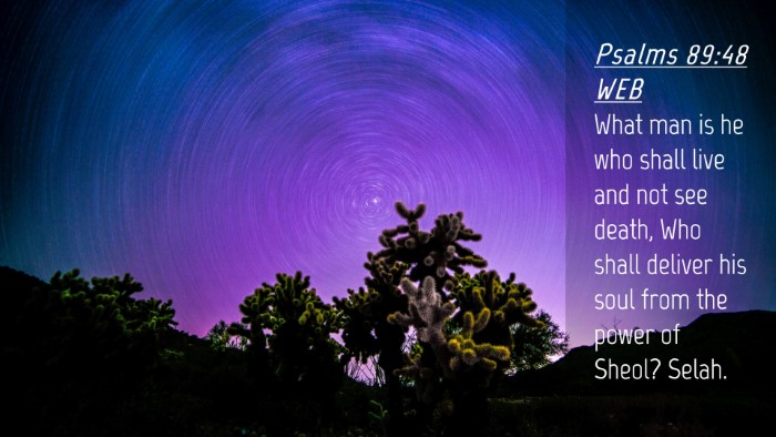 Picture 04 - Psalms 89:48 WEB Desktop Wallpaper - What man is he who shall live and not see death, - Desktop Bible Verse Wallpaper