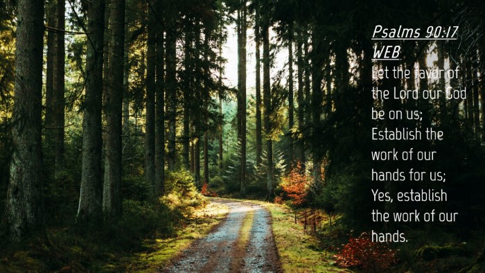 Picture 04 - Psalms 90:17 WEB Desktop Wallpaper - Let the favor of the Lord our God be on us; - Desktop Bible Verse Wallpaper