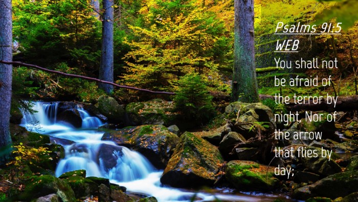 Picture 04 - Psalms 91:5 WEB Desktop Wallpaper - You shall not be afraid of the terror by night, - Desktop Bible Verse Wallpaper