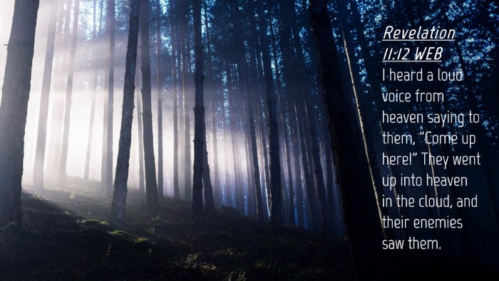 Picture 04 - Revelation 11:12 WEB Desktop Wallpaper - I heard a loud voice from heaven saying to them, - Desktop Bible Verse Wallpaper