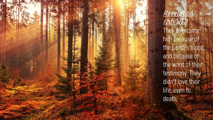 Picture 04 - Revelation 12:11 WEB Desktop Wallpaper - They overcame him because of the Lamb's blood, - Desktop Bible Verse Wallpaper