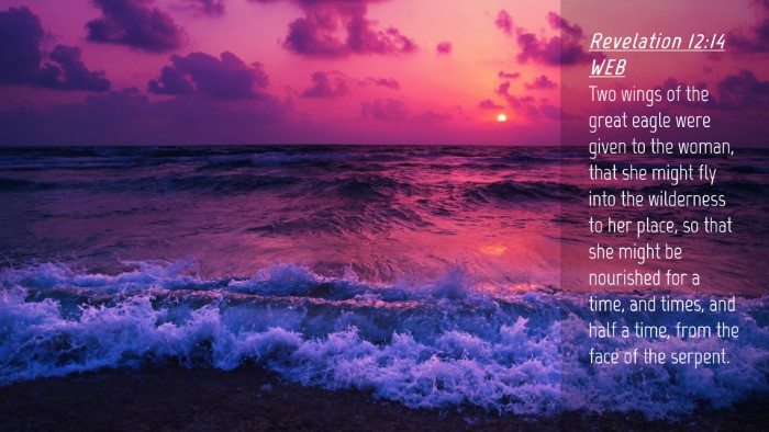 Picture 04 - Revelation 12:14 WEB Desktop Wallpaper - Two wings of the great eagle were given to the - Desktop Bible Verse Wallpaper