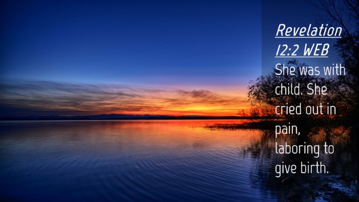 Picture 04 - Revelation 12:2 WEB Desktop Wallpaper - She was with child. She cried out in pain, - Desktop Bible Verse Wallpaper