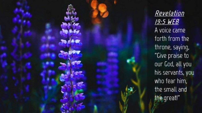 Picture 04 - Revelation 19:5 WEB Desktop Wallpaper - A voice came forth from the throne, saying, 