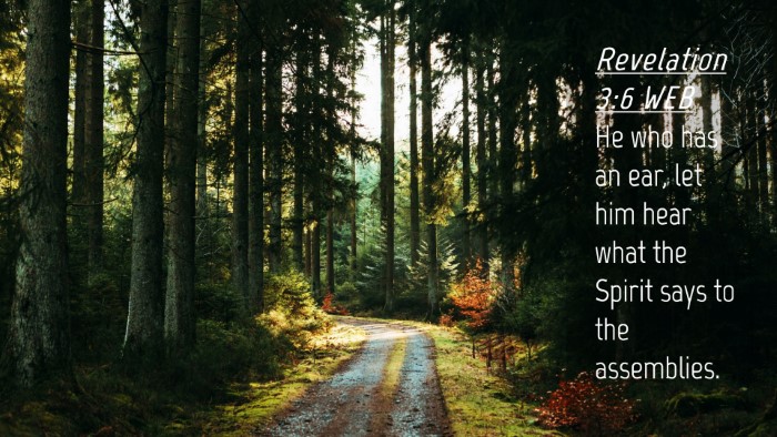 Picture 04 - Revelation 3:6 WEB Desktop Wallpaper - He who has an ear, let him hear what the Spirit - Desktop Bible Verse Wallpaper