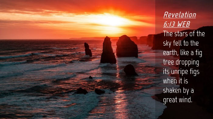 Picture 04 - Revelation 6:13 WEB Desktop Wallpaper - The stars of the sky fell to the earth, like a - Desktop Bible Verse Wallpaper