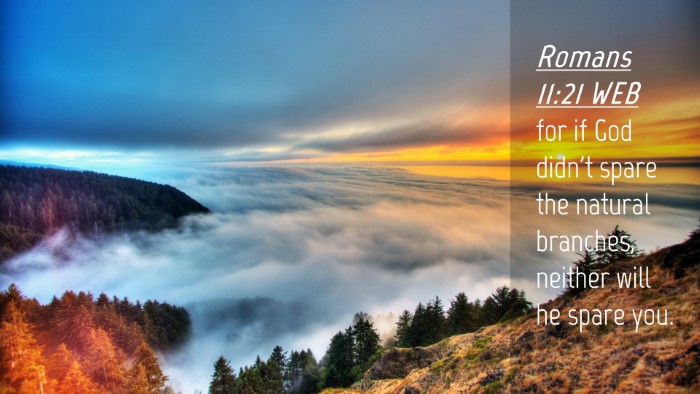 Picture 04 - Romans 11:21 WEB Desktop Wallpaper - for if God didn't spare the natural branches, - Desktop Bible Verse Wallpaper