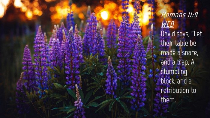 Picture 04 - Romans 11:9 WEB Desktop Wallpaper - David says, 