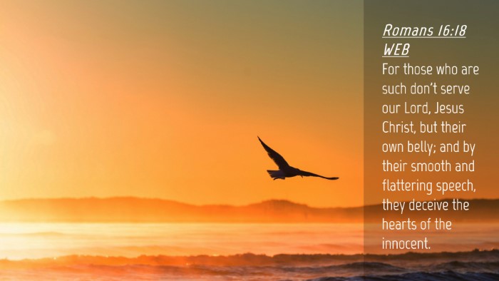 Picture 04 - Romans 16:18 WEB Desktop Wallpaper - For those who are such don't serve our Lord, - Desktop Bible Verse Wallpaper