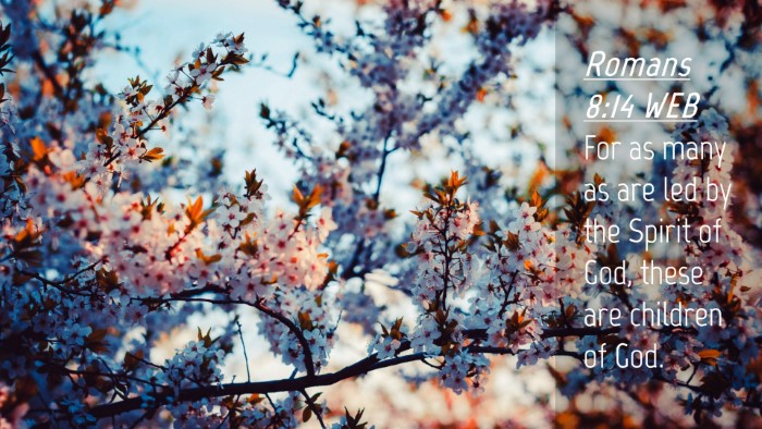 Picture 04 - Romans 8:14 WEB Desktop Wallpaper - For as many as are led by the Spirit of God, - Desktop Bible Verse Wallpaper