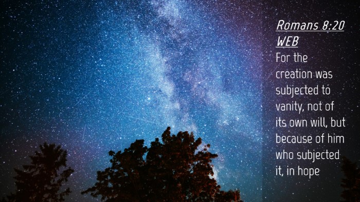 Picture 04 - Romans 8:20 WEB Desktop Wallpaper - For the creation was subjected to vanity, not of - Desktop Bible Verse Wallpaper