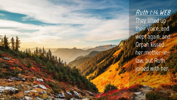 Picture 04 - Ruth 1:14 WEB Desktop Wallpaper - They lifted up their voice, and wept again: and - Desktop Bible Verse Wallpaper