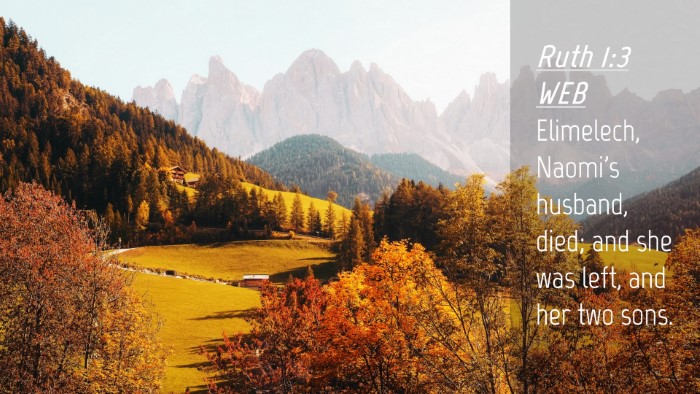 Picture 04 - Ruth 1:3 WEB Desktop Wallpaper - Elimelech, Naomi's husband, died; and she was - Desktop Bible Verse Wallpaper