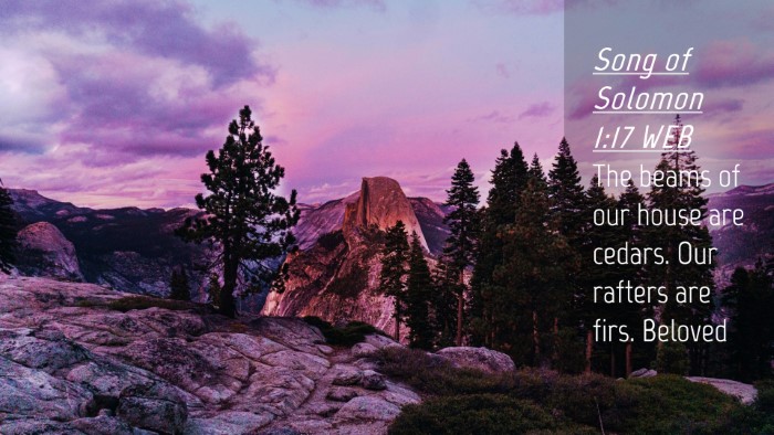 Picture 04 - Song of Solomon 1:17 WEB Desktop Wallpaper - The beams of our house are cedars. Our rafters - Desktop Bible Verse Wallpaper