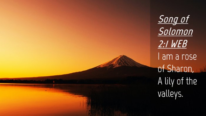 Picture 04 - Song of Solomon 2:1 WEB Desktop Wallpaper - I am a rose of Sharon, A lily of the - Desktop Bible Verse Wallpaper