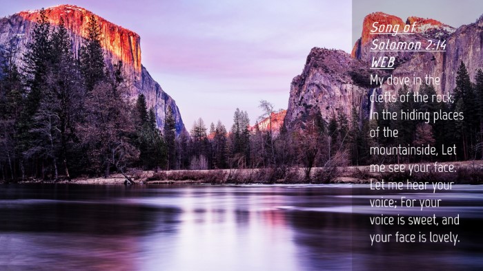 Picture 04 - Song of Solomon 2:14 WEB Desktop Wallpaper - My dove in the clefts of the rock, In the hiding - Desktop Bible Verse Wallpaper