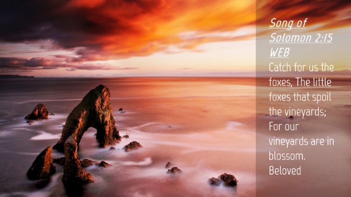 Picture 04 - Song of Solomon 2:15 WEB Desktop Wallpaper - Catch for us the foxes, The little foxes that - Desktop Bible Verse Wallpaper