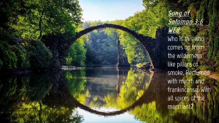 Picture 04 - Song of Solomon 3:6 WEB Desktop Wallpaper - Who is this who comes up from the wilderness like - Desktop Bible Verse Wallpaper