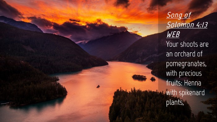 Picture 04 - Song of Solomon 4:13 WEB Desktop Wallpaper - Your shoots are an orchard of pomegranates, with - Desktop Bible Verse Wallpaper