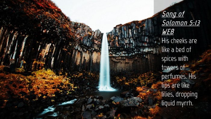 Picture 04 - Song of Solomon 5:13 WEB Desktop Wallpaper - His cheeks are like a bed of spices with towers - Desktop Bible Verse Wallpaper