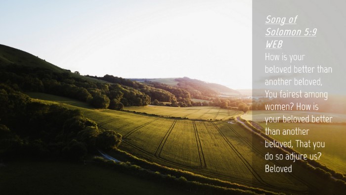Picture 04 - Song of Solomon 5:9 WEB Desktop Wallpaper - How is your beloved better than another beloved, - Desktop Bible Verse Wallpaper