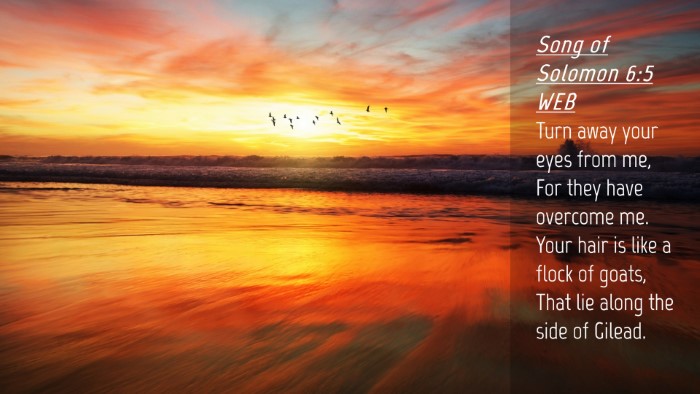 Picture 04 - Song of Solomon 6:5 WEB Desktop Wallpaper - Turn away your eyes from me, For they have - Desktop Bible Verse Wallpaper