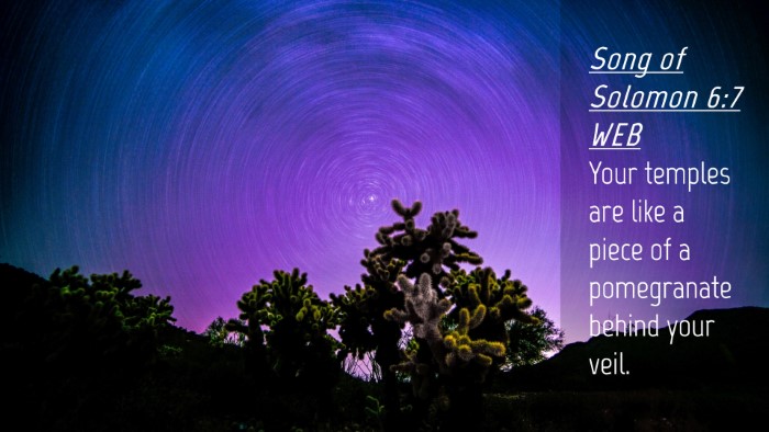 Picture 04 - Song of Solomon 6:7 WEB Desktop Wallpaper - Your temples are like a piece of a pomegranate - Desktop Bible Verse Wallpaper