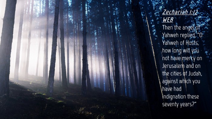 Picture 04 - Zechariah 1:12 WEB Desktop Wallpaper - Then the angel of Yahweh replied, 