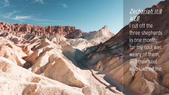 Picture 04 - Zechariah 11:8 WEB Desktop Wallpaper - I cut off the three shepherds in one month; for - Desktop Bible Verse Wallpaper