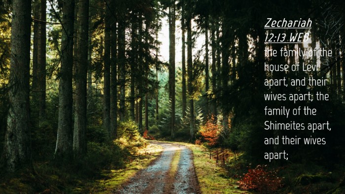 Picture 04 - Zechariah 12:13 WEB Desktop Wallpaper - the family of the house of Levi apart, and their - Desktop Bible Verse Wallpaper