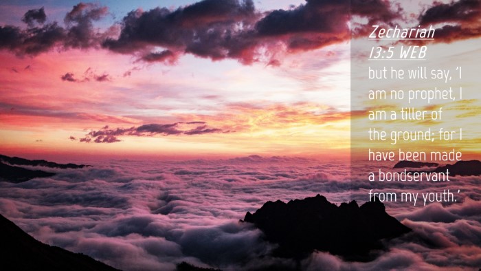 Picture 04 - Zechariah 13:5 WEB Desktop Wallpaper - but he will say, 'I am no prophet, I am a tiller - Desktop Bible Verse Wallpaper
