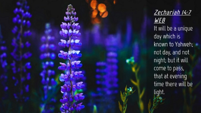 Picture 04 - Zechariah 14:7 WEB Desktop Wallpaper - It will be a unique day which is known to Yahweh; - Desktop Bible Verse Wallpaper