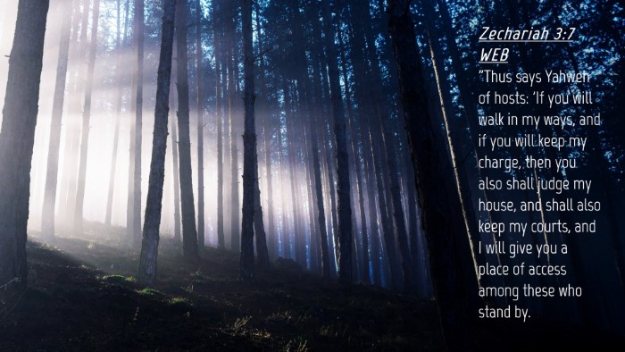 Picture 04 - Zechariah 3:7 WEB Desktop Wallpaper - 