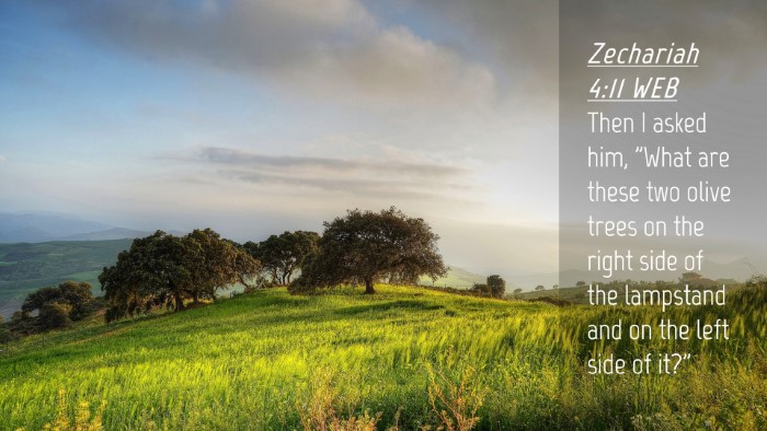 Picture 04 - Zechariah 4:11 WEB Desktop Wallpaper - Then I asked him, 