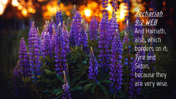 Picture 04 - Zechariah 9:2 WEB Desktop Wallpaper - And Hamath, also, which borders on it; Tyre and - Desktop Bible Verse Wallpaper
