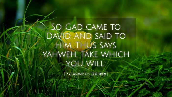 Picture 05 - 1 Chronicles 21:11 WEB Desktop Wallpaper - So Gad came to David, and said to him, Thus says - Desktop Bible Verse Wallpaper