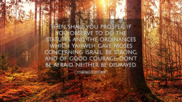 Picture 05 - 1 Chronicles 22:13 WEB Desktop Wallpaper - Then shall you prosper, if you observe to do the - Desktop Bible Verse Wallpaper
