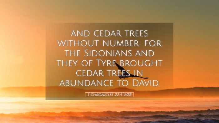 Picture 05 - 1 Chronicles 22:4 WEB Desktop Wallpaper - and cedar trees without number: for the Sidonians - Desktop Bible Verse Wallpaper