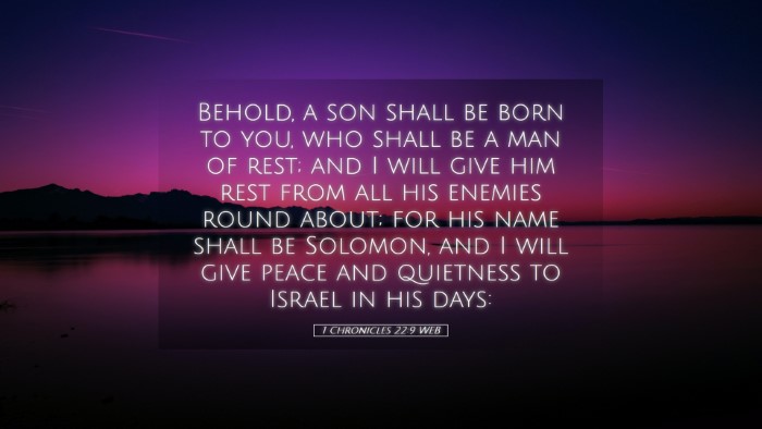 Picture 05 - 1 Chronicles 22:9 WEB Desktop Wallpaper - Behold, a son shall be born to you, who shall be - Desktop Bible Verse Wallpaper