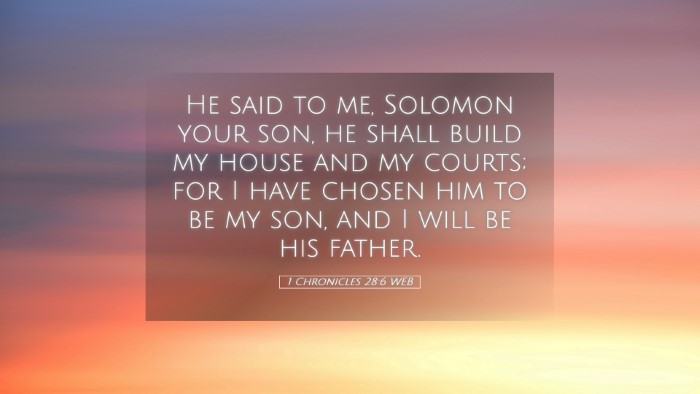 Picture 05 - 1 Chronicles 28:6 WEB Desktop Wallpaper - He said to me, Solomon your son, he shall build - Desktop Bible Verse Wallpaper