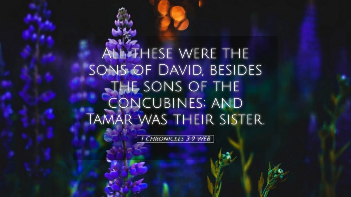 Picture 05 - 1 Chronicles 3:9 WEB Desktop Wallpaper - All these were the sons of David, besides the - Desktop Bible Verse Wallpaper