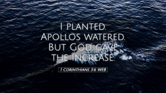 Picture 05 - 1 Corinthians 3:6 WEB Desktop Wallpaper - I planted. Apollos watered. But God gave the - Desktop Bible Verse Wallpaper
