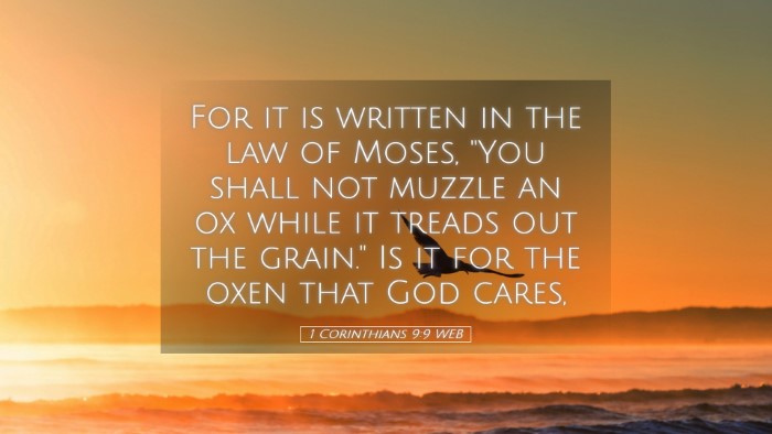 Picture 05 - 1 Corinthians 9:9 WEB Desktop Wallpaper - For it is written in the law of Moses, 