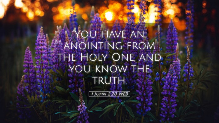 Picture 05 - 1 John 2:20 WEB Desktop Wallpaper - You have an anointing from the Holy One, and you - Desktop Bible Verse Wallpaper