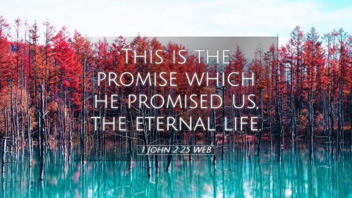 Picture 05 - 1 John 2:25 WEB Desktop Wallpaper - This is the promise which he promised us, the - Desktop Bible Verse Wallpaper