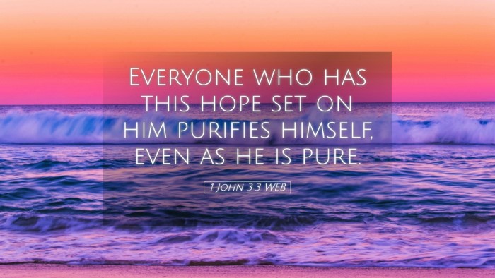 Picture 05 - 1 John 3:3 WEB Desktop Wallpaper - Everyone who has this hope set on him purifies - Desktop Bible Verse Wallpaper