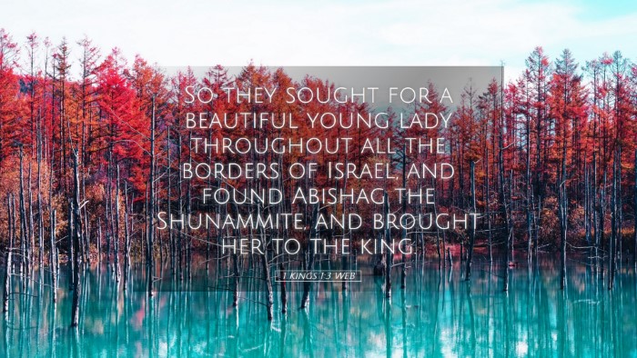 Picture 05 - 1 Kings 1:3 WEB Desktop Wallpaper - So they sought for a beautiful young lady - Desktop Bible Verse Wallpaper