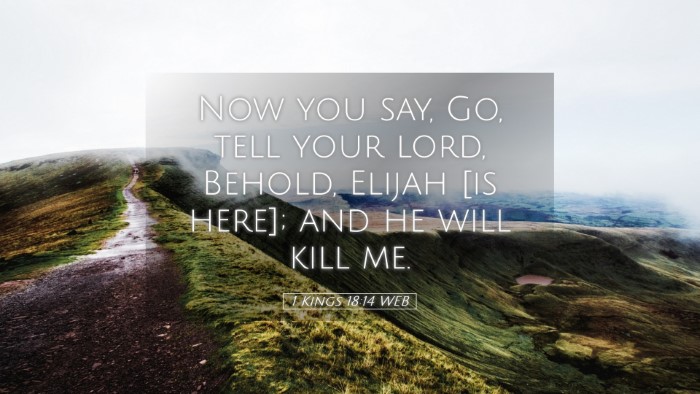 Picture 05 - 1 Kings 18:14 WEB Desktop Wallpaper - Now you say, Go, tell your lord, Behold, Elijah - Desktop Bible Verse Wallpaper
