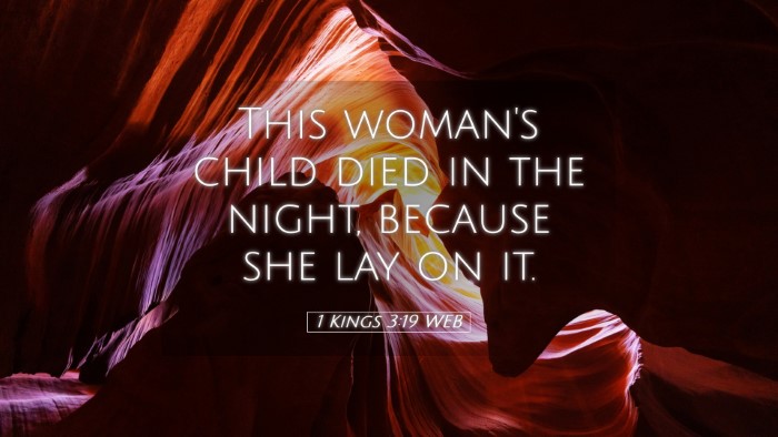 Picture 05 - 1 Kings 3:19 WEB Desktop Wallpaper - This woman's child died in the night, because she - Desktop Bible Verse Wallpaper